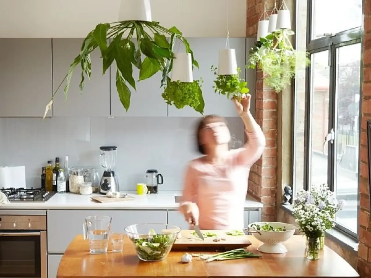 świeże zioła w doniczkach na blacie kuchennym