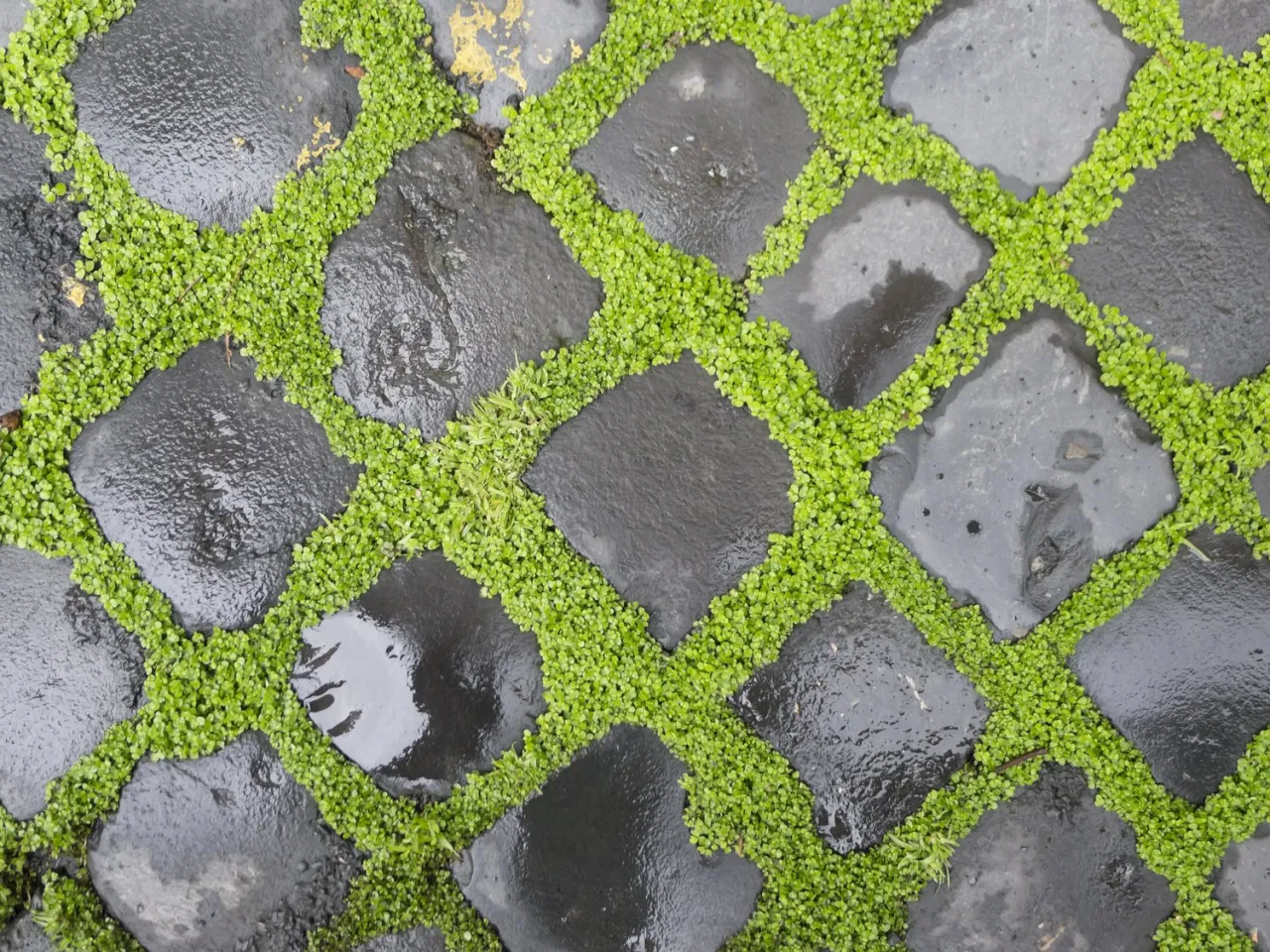 Bruk klinkierowy aranżacje