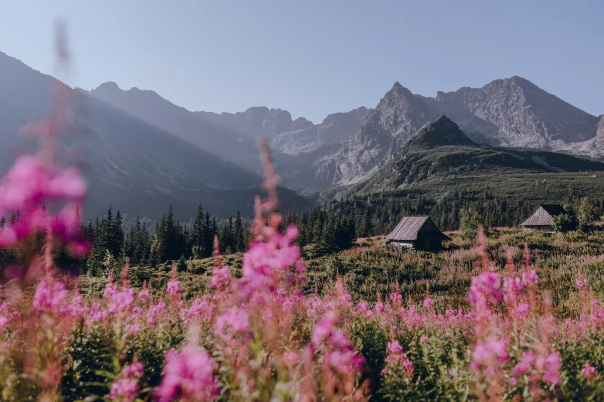 Polska krajobrazy różnorodność miast i natury