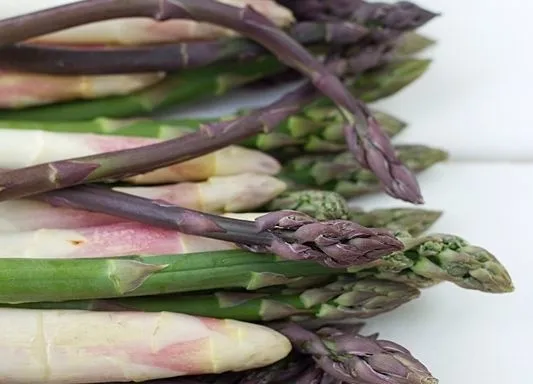 rodzaje szparag&oacute;w białe zielone fioletowe