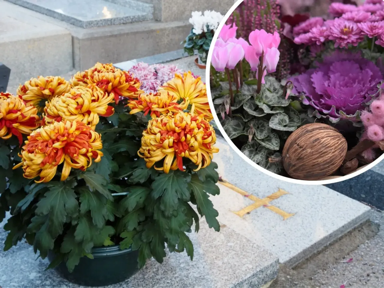 Naturalne dekoracje chryzantem na grób