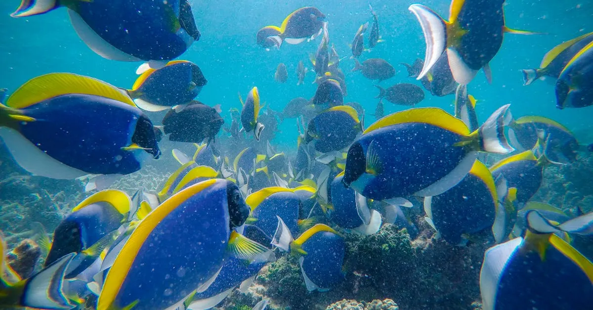 Zdjęcie Gdynia Aquarium: Podwodny świat w sercu nadmorskiego miasta