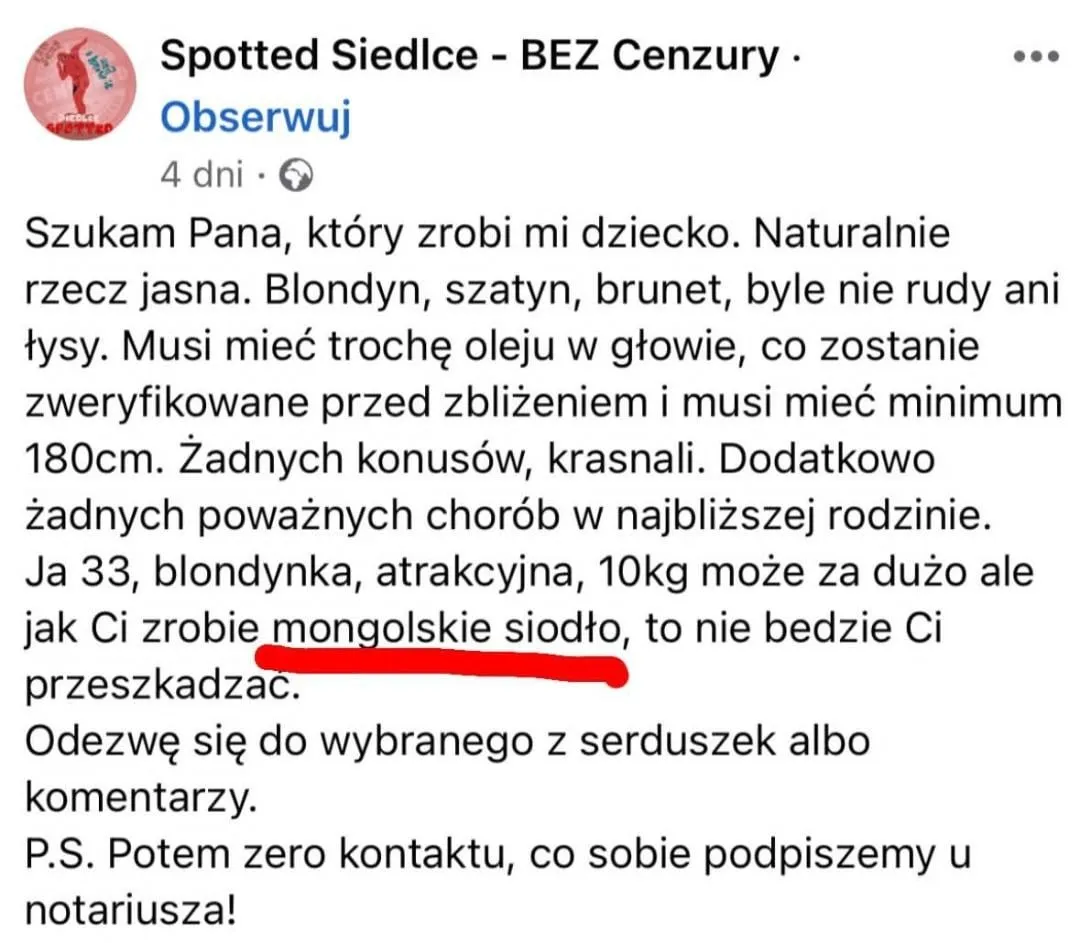 Zdjęcie Mongolskie siodło co to? Poznaj jego unikalne cechy i znaczenie