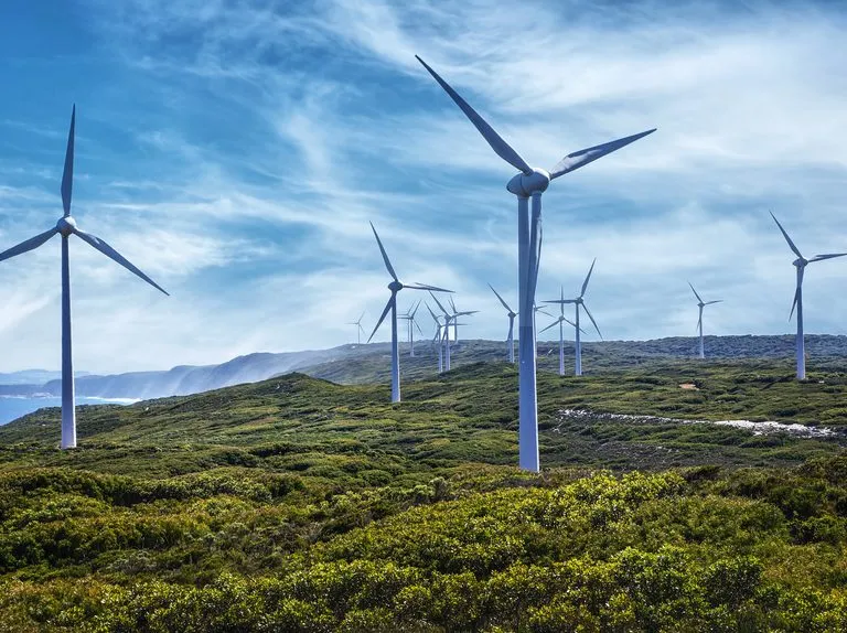 Zdjęcie Czy elektrownie wiatrowe są szkodliwe dla zdrowia? Fakty i mity