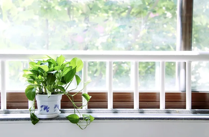 Zdjęcie Jak ozdobic parapet w sypialni, by stworzyć przytulną atmosferę
