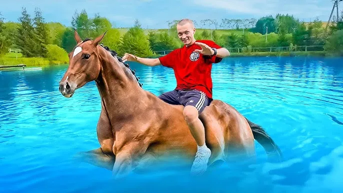 Zdjęcie Czy koń umie pływać? Odkryj zaskakujące fakty o pływaniu koni