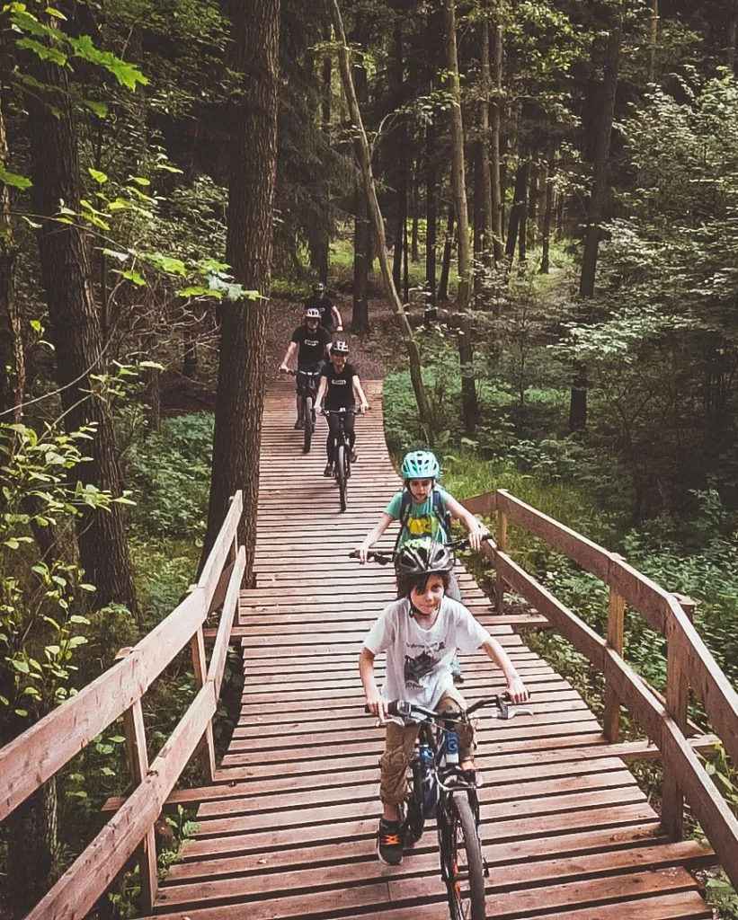 Zdjęcie Singletrack Dolny Śląsk: najlepsze trasy rowerowe, trudności i atrakcje przyrodnicze