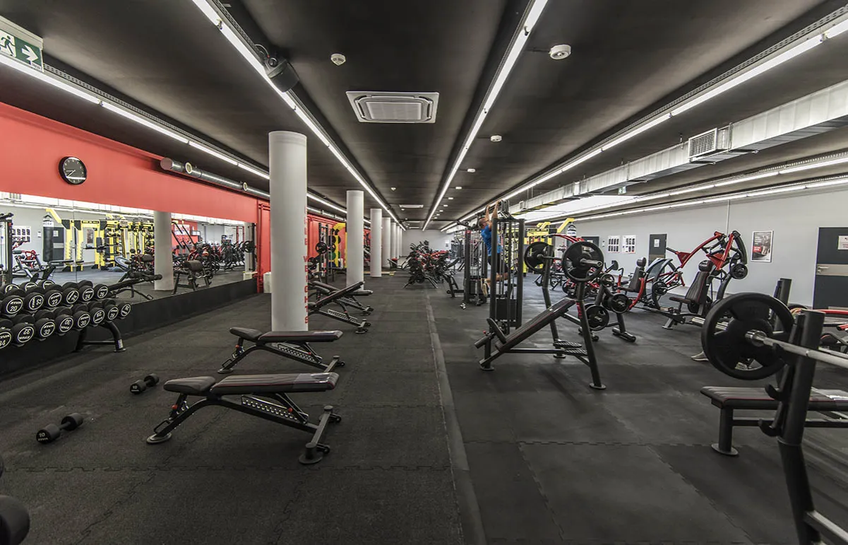 Zdjęcie K-1 Rybnik: Treningi, Cennik i Korzyści | Absortio Gym