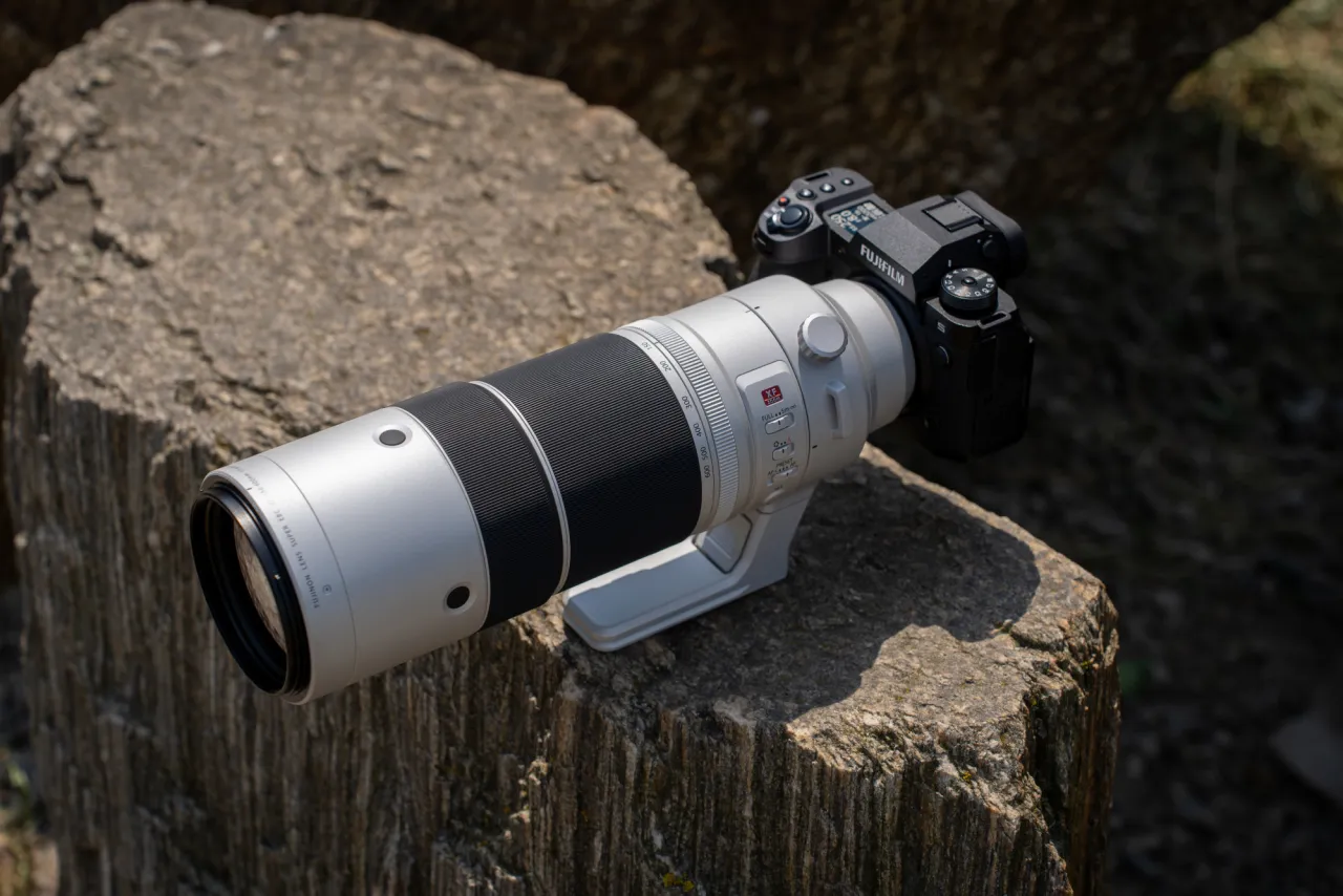 Zdjęcie Jaki obiektyw do fotografii ptaków – wybierz najlepszy sprzęt na start