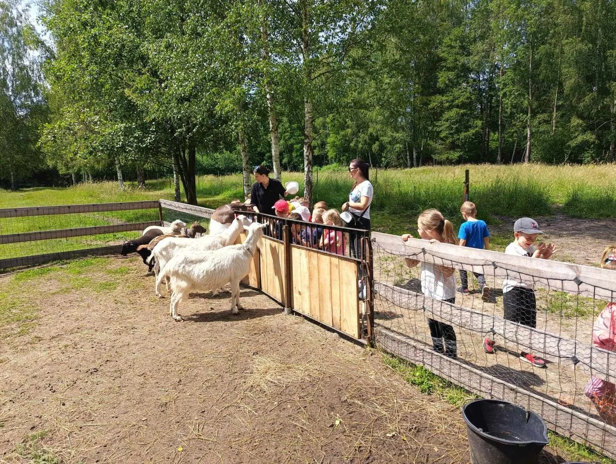 Zdjęcie Wieś co zagroda edukacyjna: odkryj fascynujące warsztaty dla dzieci