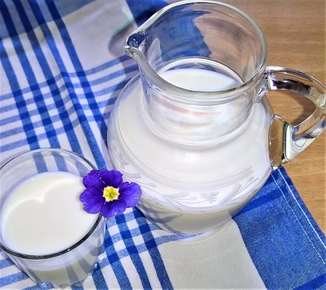 Zdjęcie Ile kosztuje litr mleka w skupie? Sprawdź aktualne ceny i zmiany