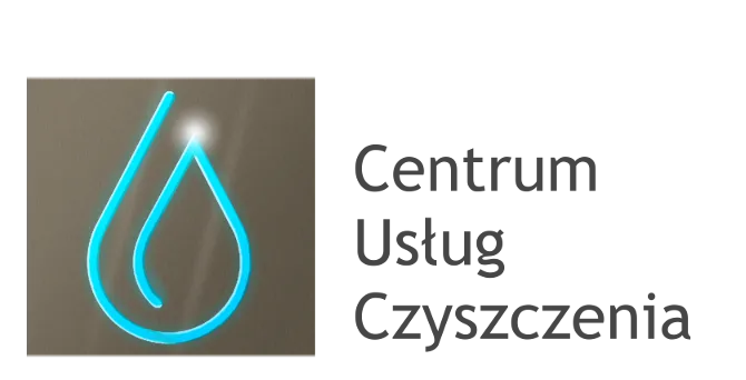 Zdjęcie Jak usunąć farbę z kostki brukowej - skuteczne metody bez uszkodzeń