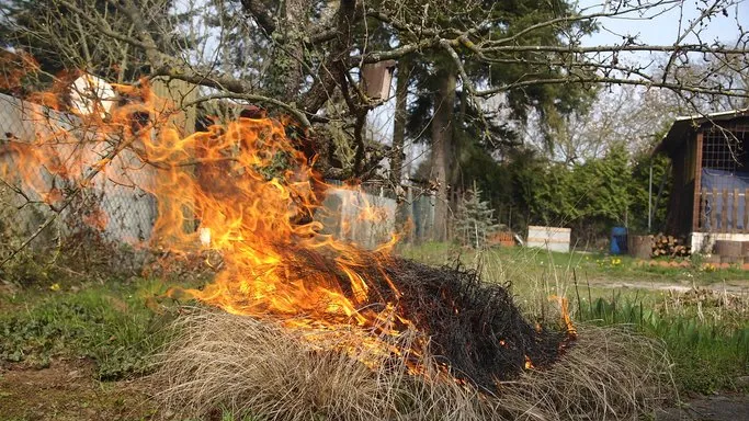 Zdjęcie Czy można palić liście na działce? Sprawdź przepisy i konsekwencje