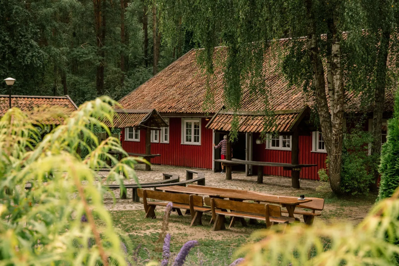 Zdjęcie Najlepsze miejsca, gdzie zjeść w Druskiennikach - odkryj smaki regionu