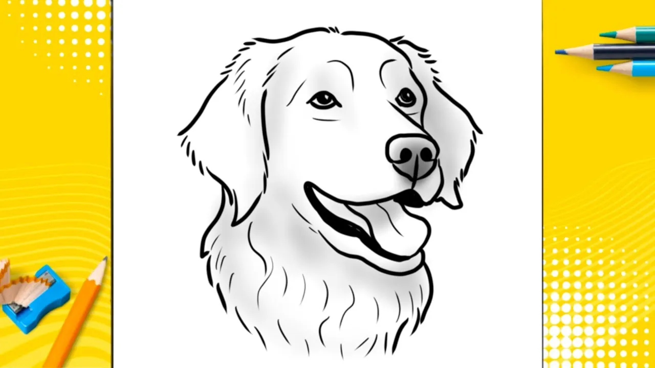 Zdjęcie Jak narysować golden retrievera - łatwe kroki do realistycznego rysunku