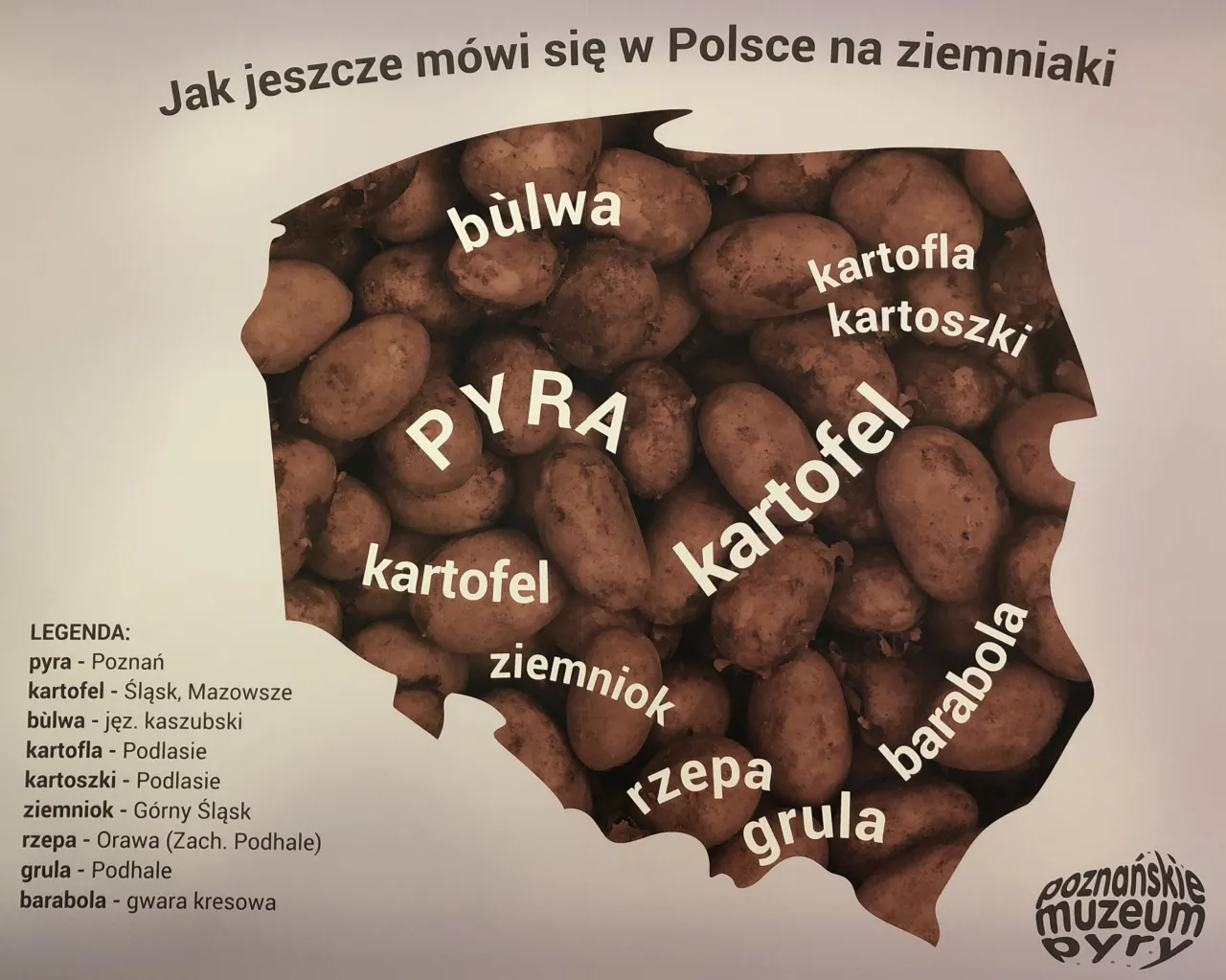 Zdjęcie Jak się mówi na ziemniaki po śląsku? Poznaj regionalne nazwy i tradycje