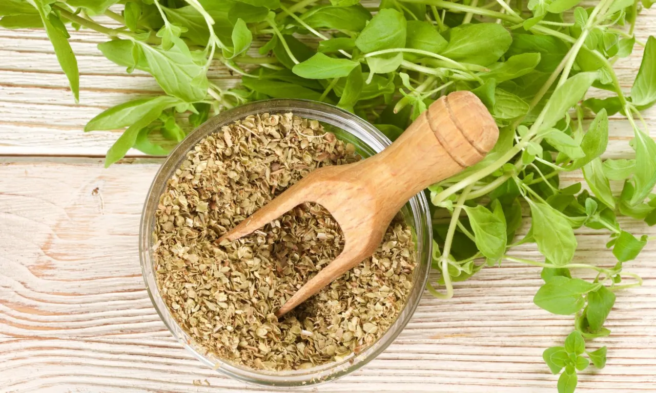 Zdjęcie Świeże oregano do czego pasuje? Odkryj najlepsze zastosowania w kuchni
