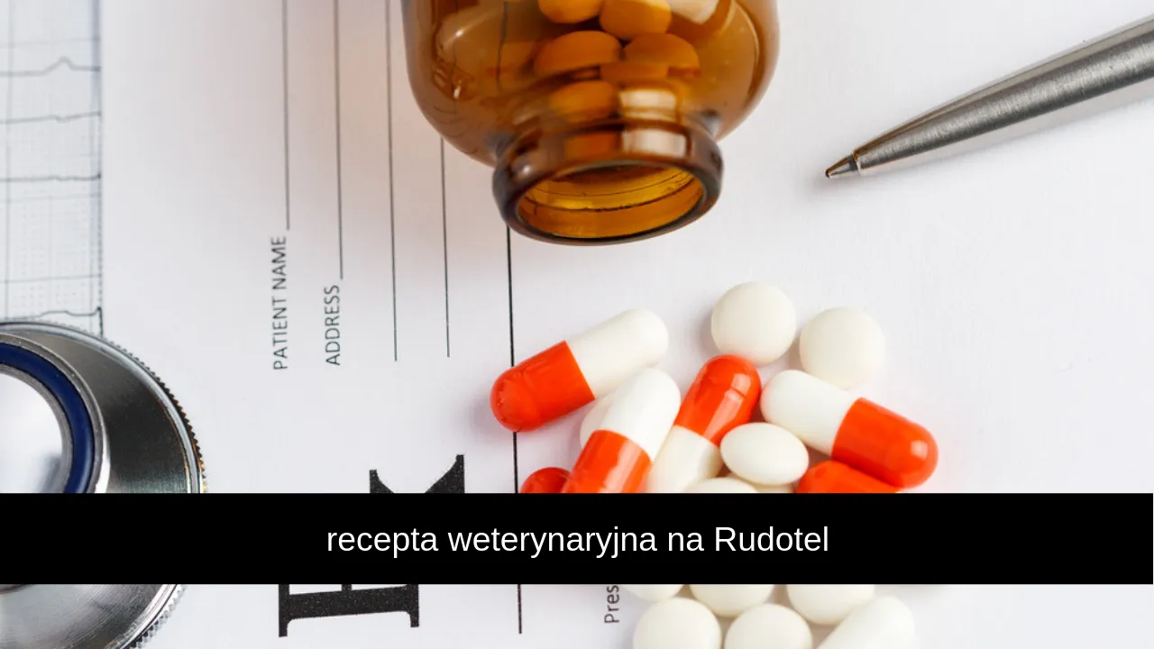 Zdjęcie Czy weterynarz może wypisać receptę dla człowieka? Sprawdź prawdę.