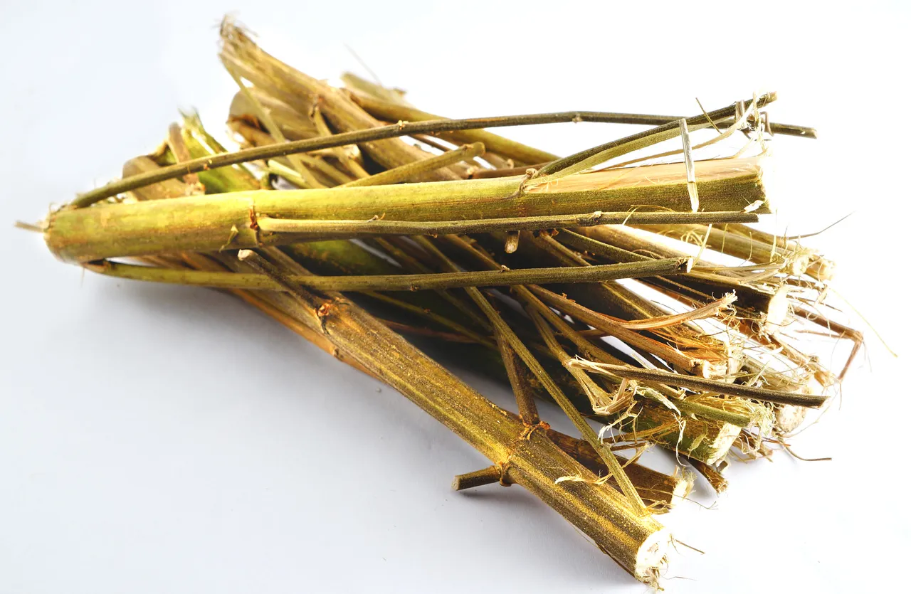 Skład chemiczny łodyg konopi