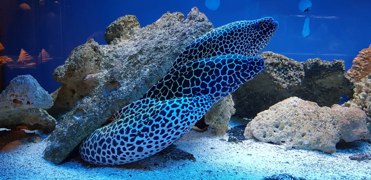 Oceanarium Kołobrzeg wejście i fasada