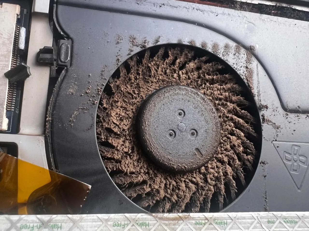 Zatkany kurzem wentylator laptopa. Czy czyszczenie laptopa sprężonym powietrzem może uszkodzić wentylator? Tak, jeśli użyjesz zbyt dużego ciśnienia.