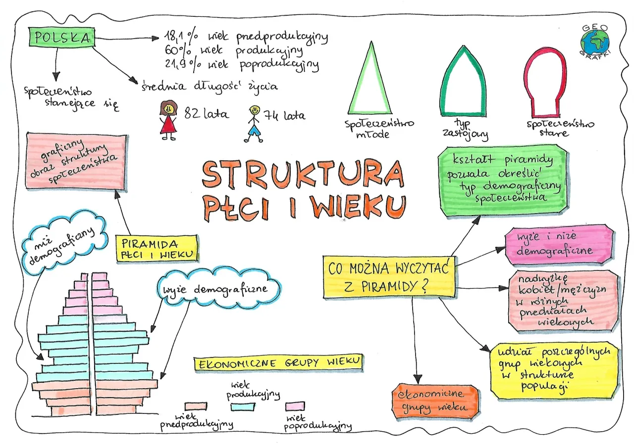 struktura notatki urzędowej infografika