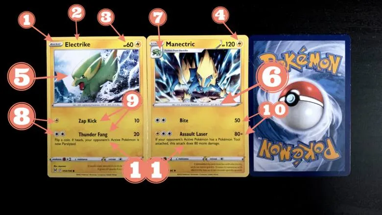 anatomia karty pokemon tcg z opisem
