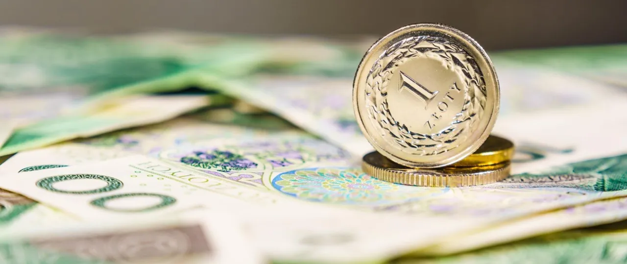 Syndyk, dokumenty finansowe, nadz&oacute;r finansowy