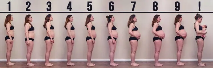 brzuch w 2 miesiącu ciąży zdjęcia porównawcze