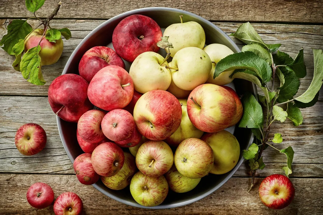 Différentes variétés de pommes pour la pâtisserie