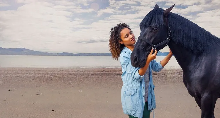 Życie w cuglach koń Raven