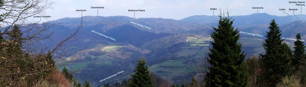 Beskid Sądecki las szlak panorama