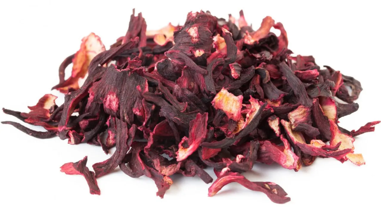 hibiskus kwiaty i herbata