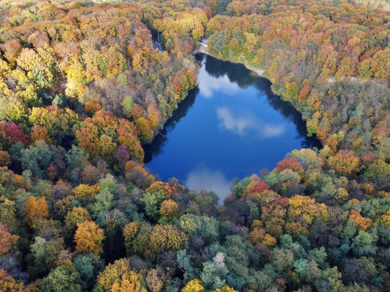 Jezioro Szmaragdowe Puszcza Bukowa