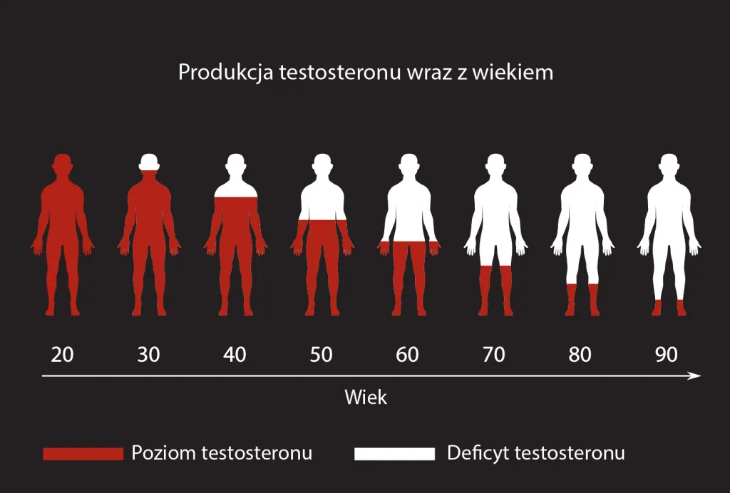 Zdjęcie Podwyższony poziom testosteronu u mężczyzn: objawy i skutki zdrowotne