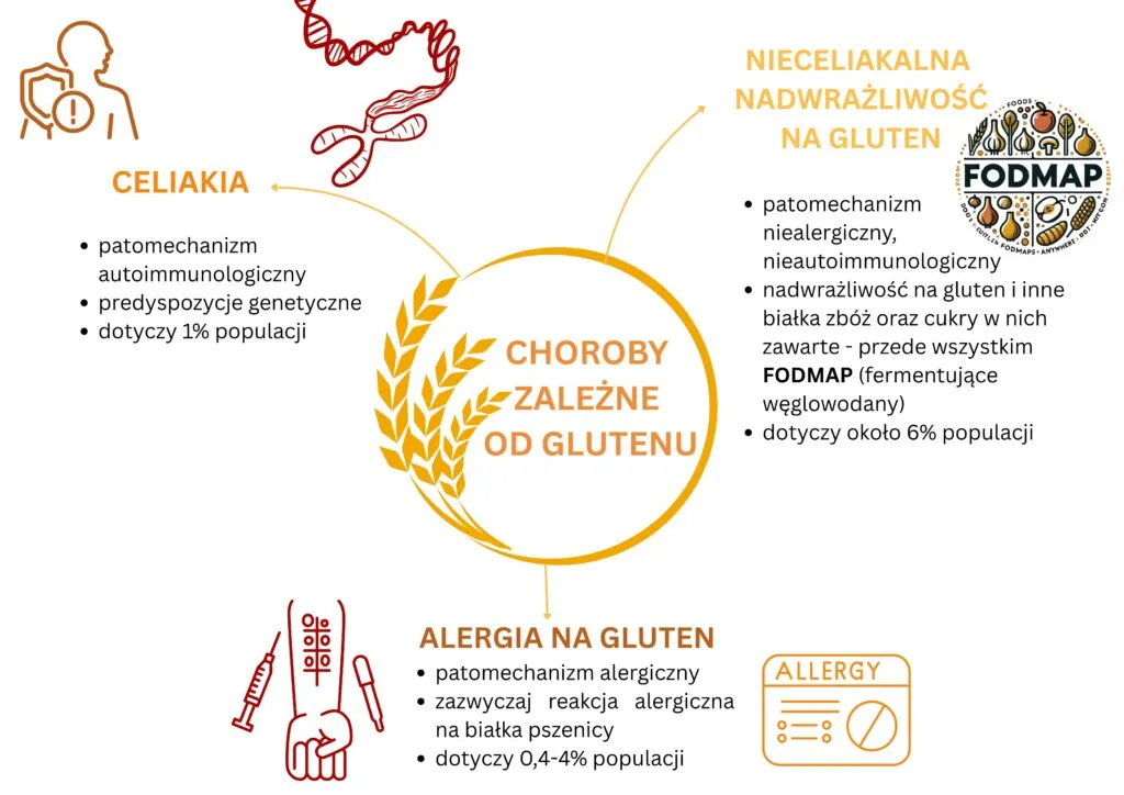 różne typy reakcji na gluten infografika