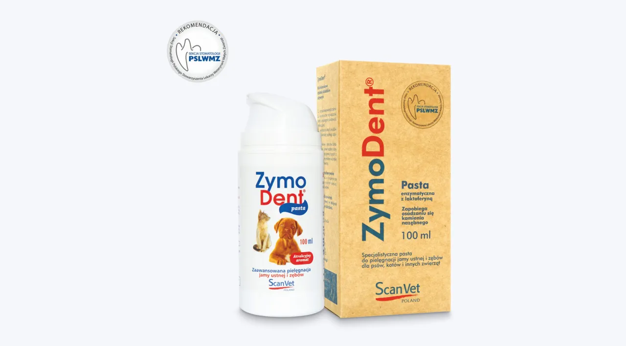 Różne rodzaje past do zębów dla psa