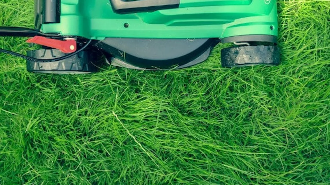 funkcje kosiarki mulczowanie napęd