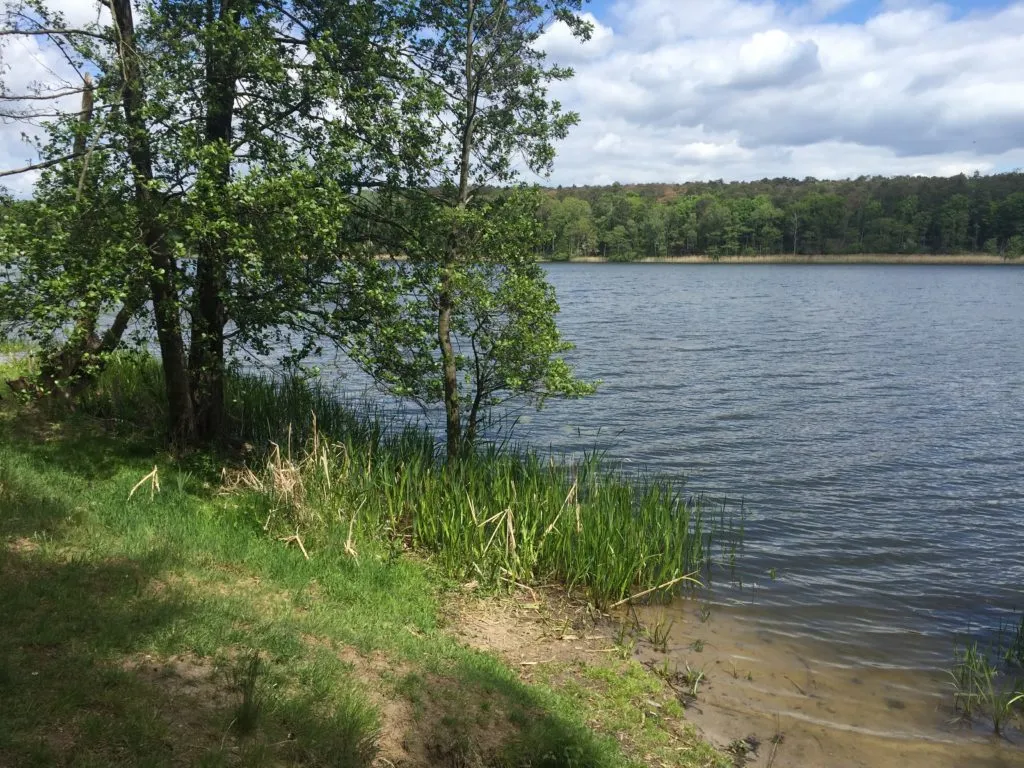 wędkarstwo Jezioro Ł&oacute;dzko-Dymaczewskie