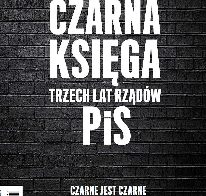 Zdjęcie Co PiS robi źle? Krytyka rządów i ich wpływ na Polskę