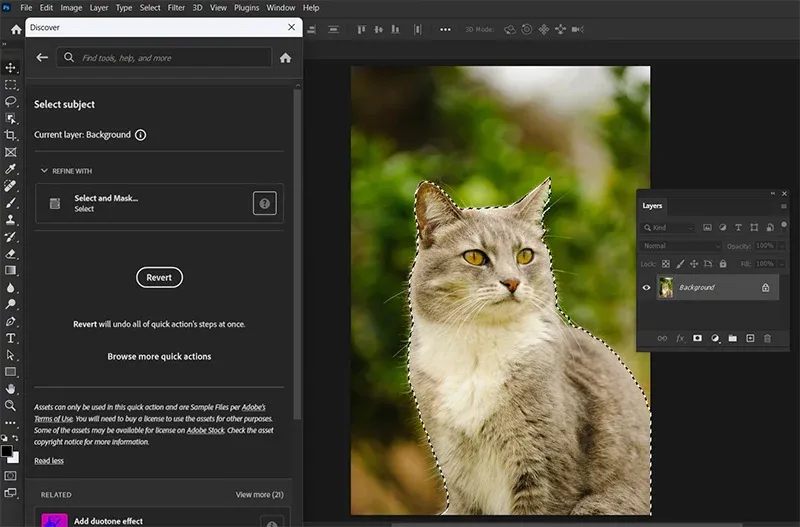 Photoshop zaznacz obiekt select subject