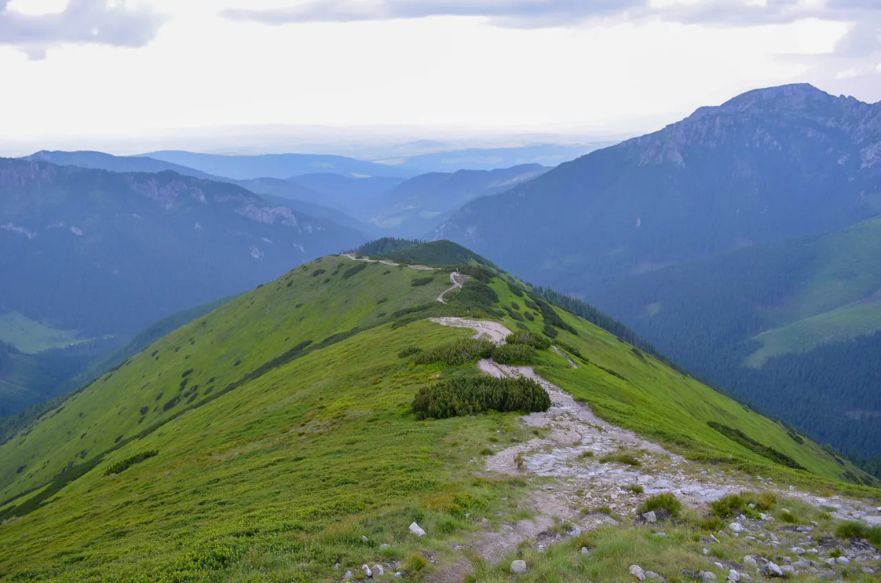 Szlak na Trzydniowiański Wierch z Polany Trzydniówka