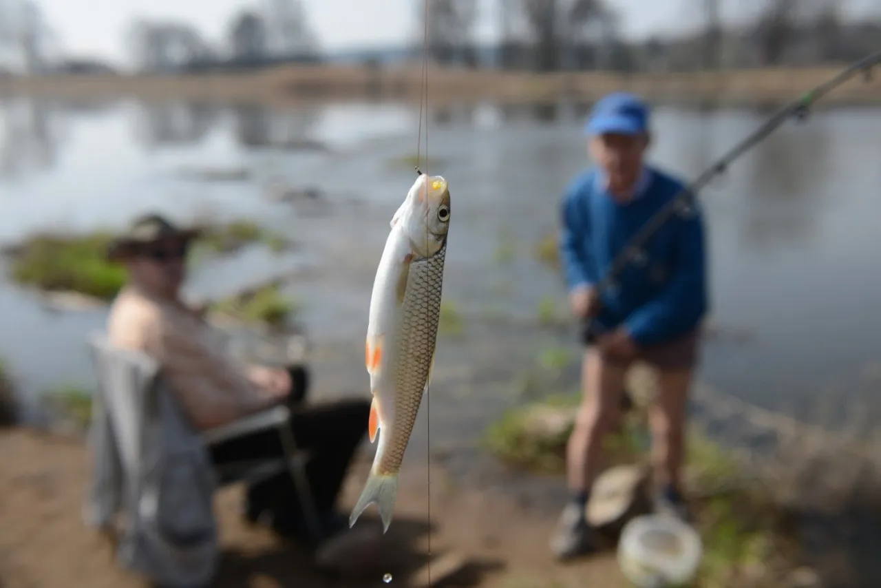 wędkarz łowi ryby w Wielkopolsce