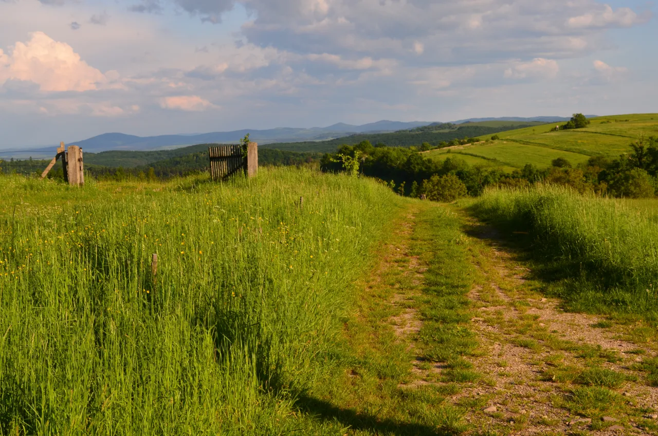 Kalwaria Pacławska panorama z lotu ptaka