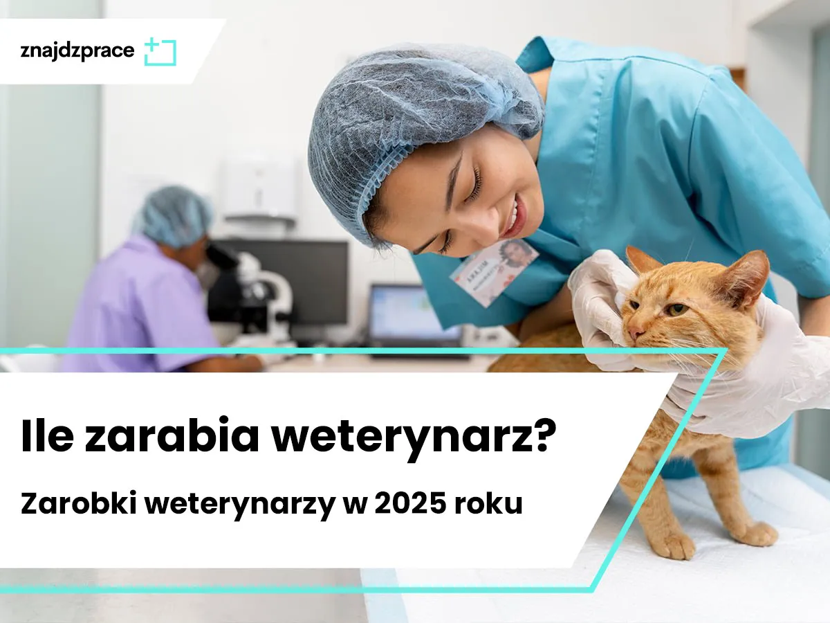 Wykres zarobk&oacute;w weterynarzy w Polsce