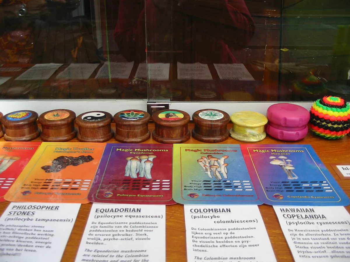 Magic truffles smartshop display