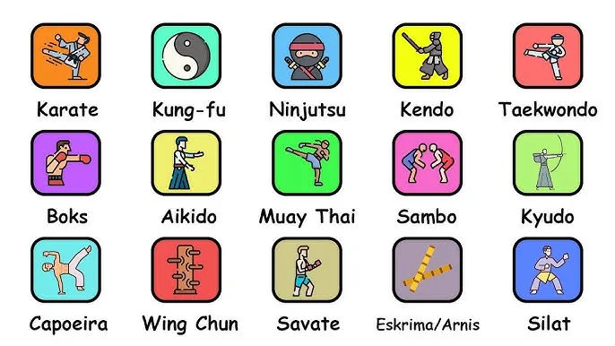 Różne style sztuk walki porównanie