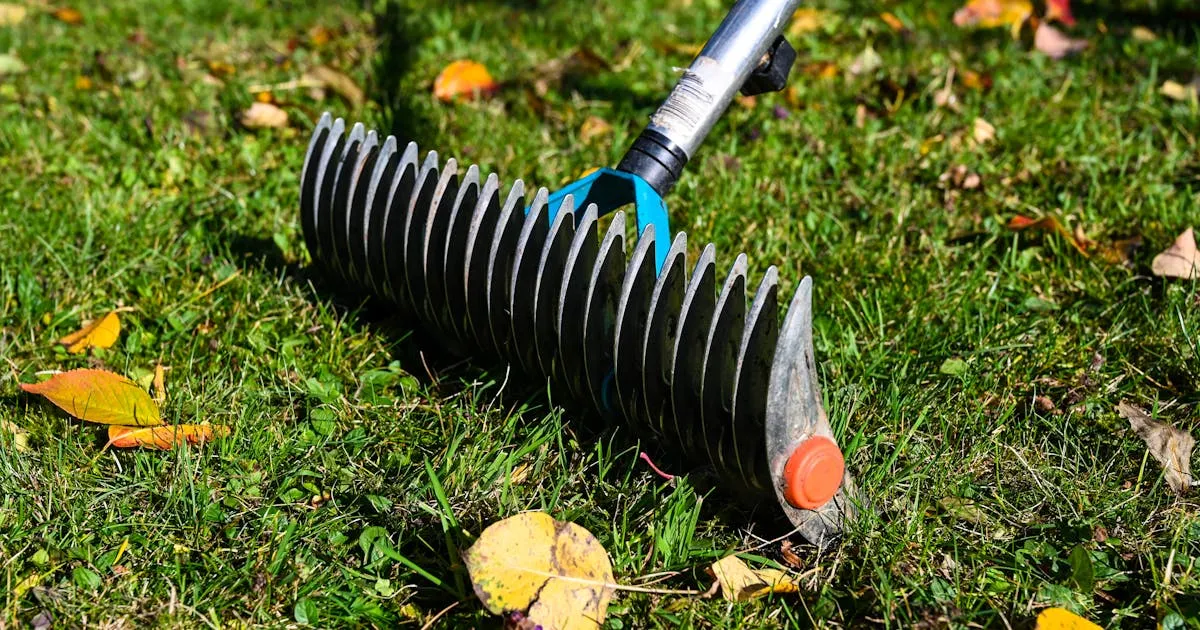 narzędzia do wertykulacji i aeracji trawnika