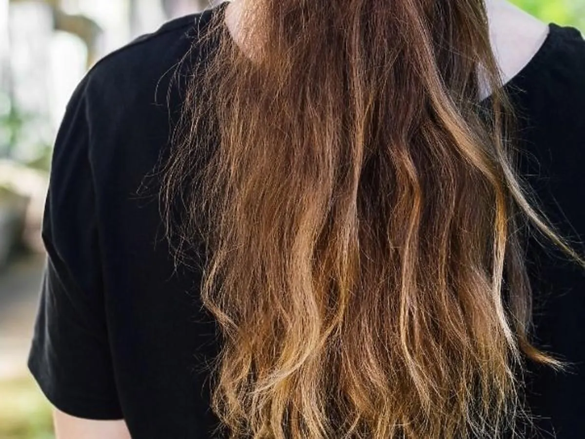 rodzaje porowatości włos&oacute;w niskoporowate średnioporowate wysokoporowate