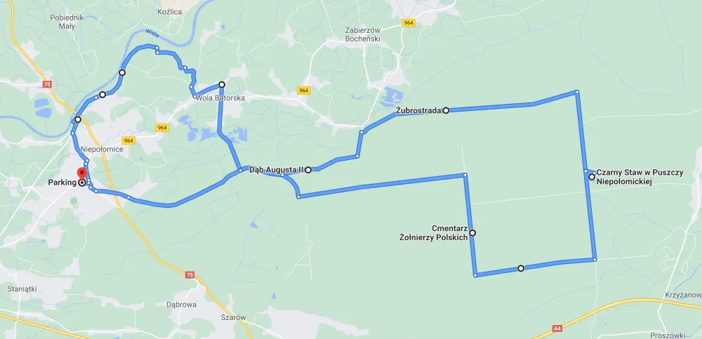 Puszcza Niepołomicka trasy rowerowe